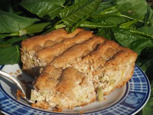 pita dresnik